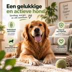 Brokki Soepel – Heup & Gewrichten Supplement voor Honden