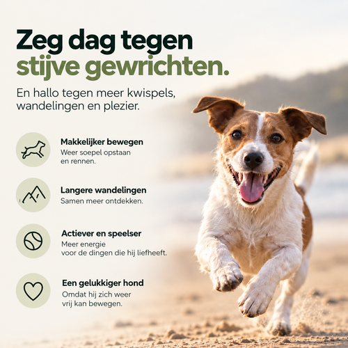 Brokki Soepel – Heup & Gewrichten Supplement voor Honden